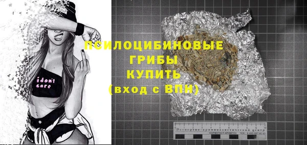 винт Алексин