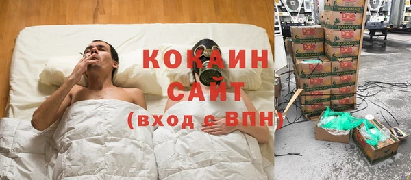 винт Алексин