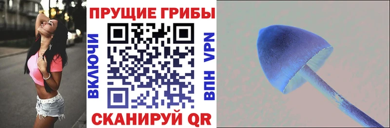 Псилоцибиновые грибы Psilocybe  Камбарка 